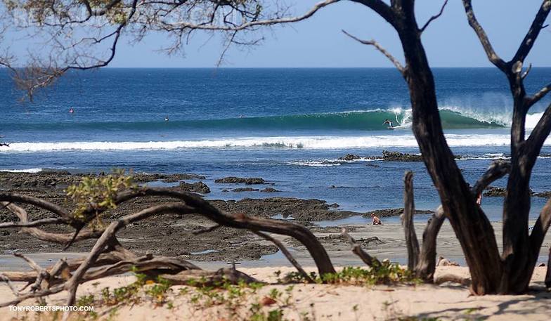 A Real Surf Vacation