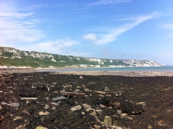 Folkestone Wear Bay photo