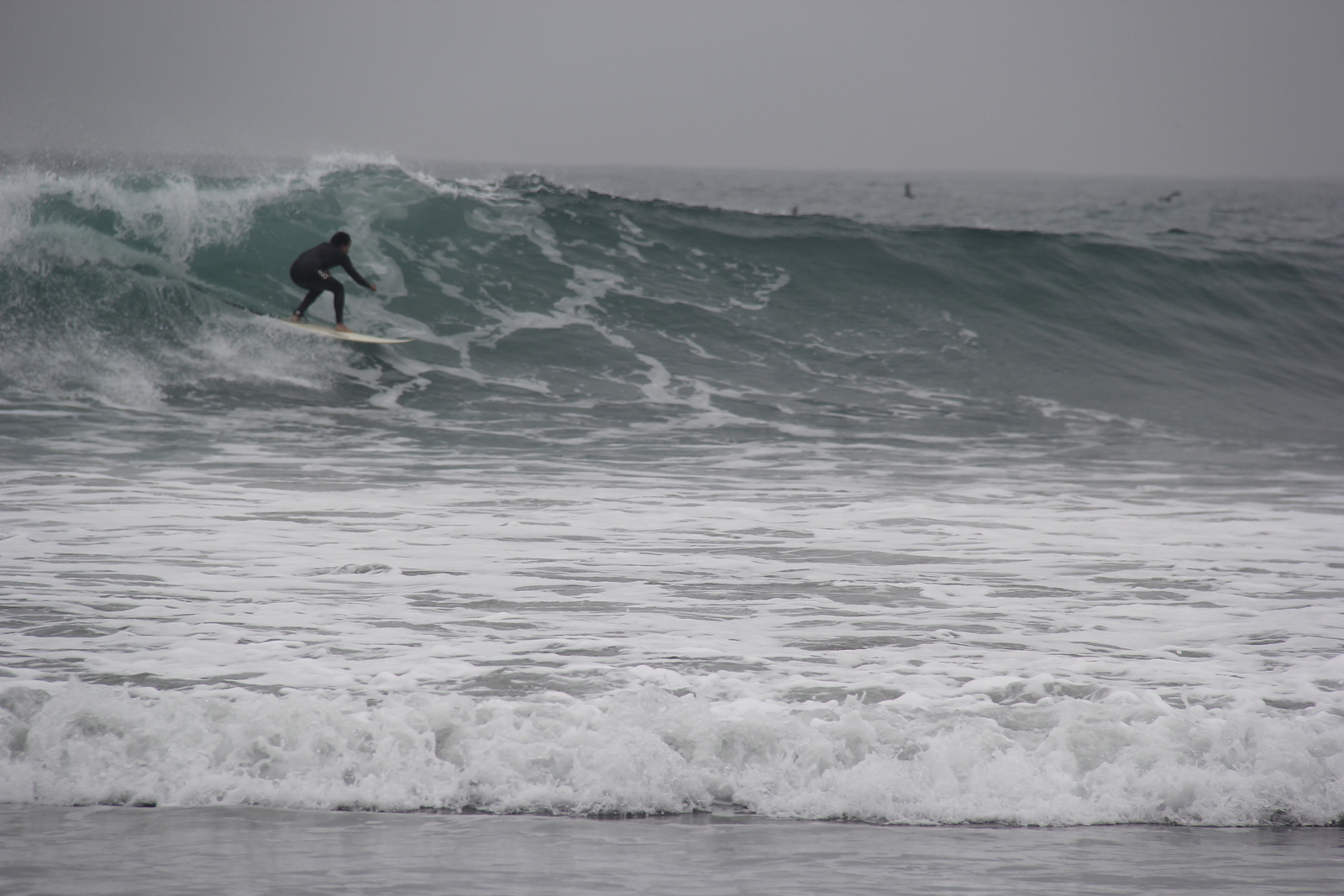 lunes 15, Puerto Viejo