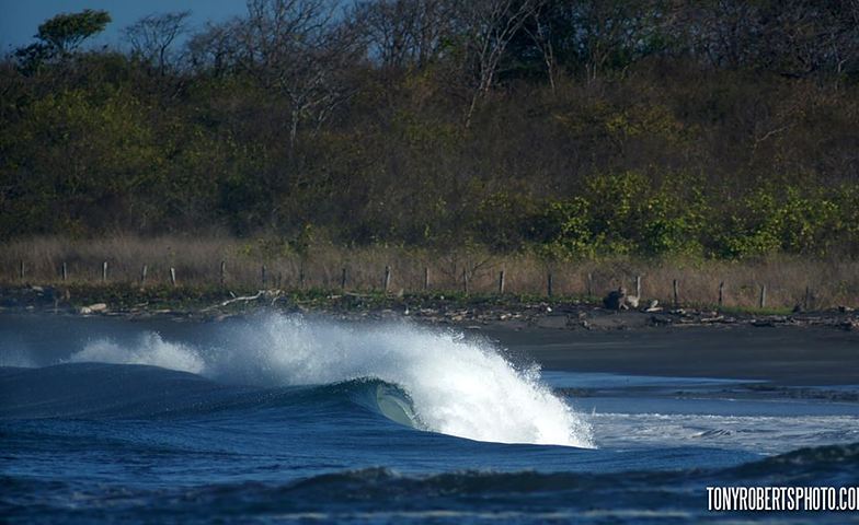 A Real Surf Vacation