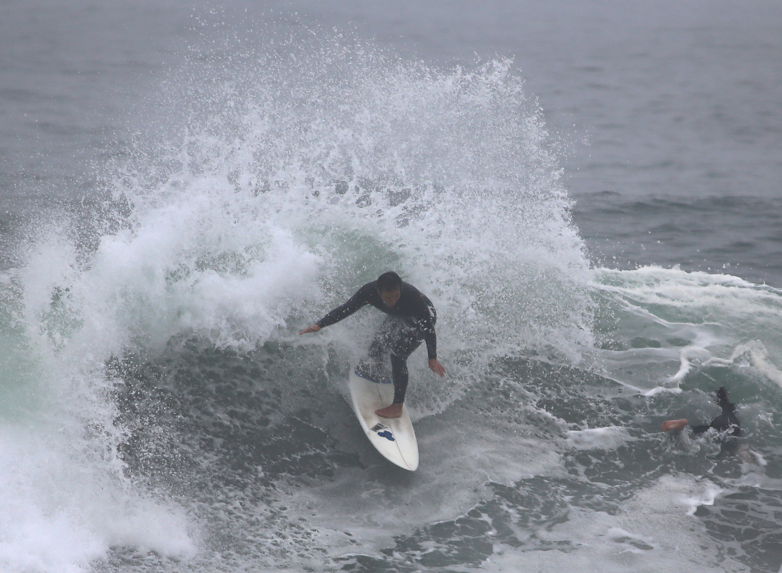Unknown, Puerto Viejo