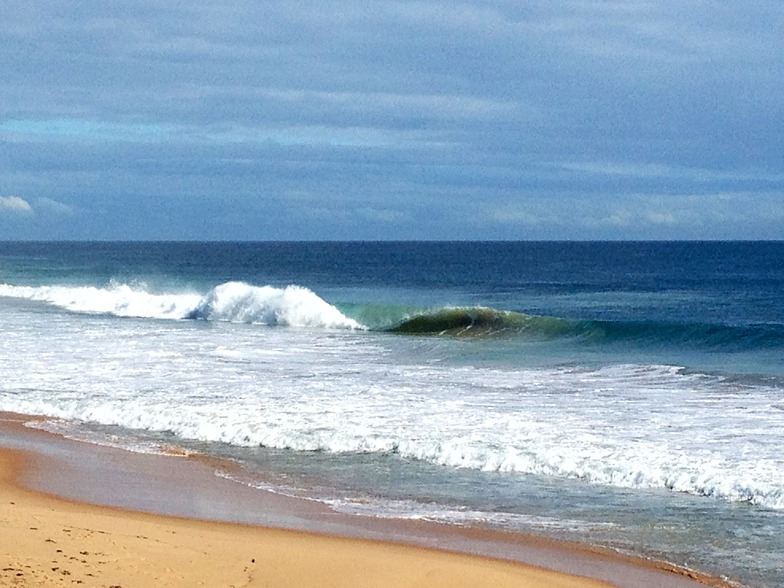 Bunbury Clam