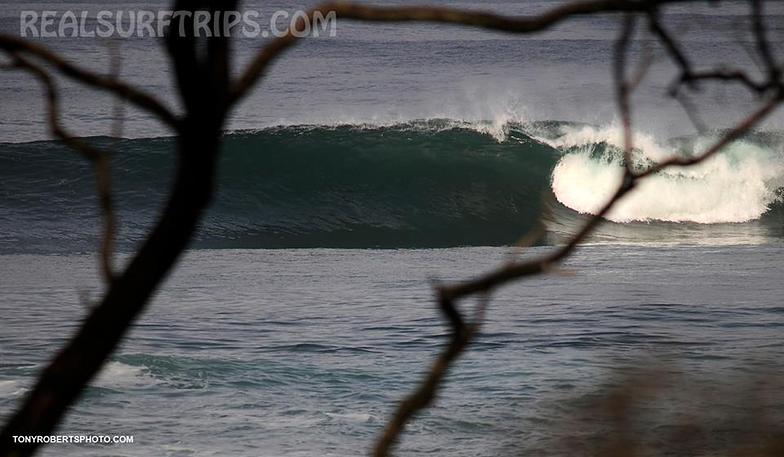 Surfing Costa Rica
