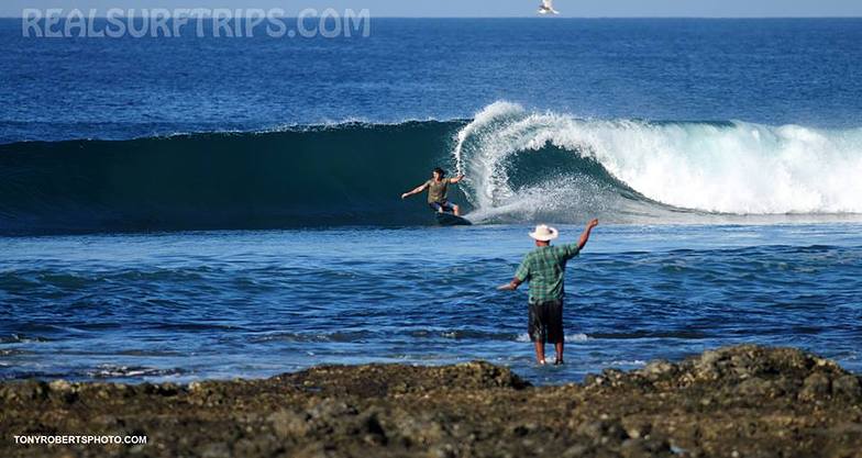 A Real Surf Vacation