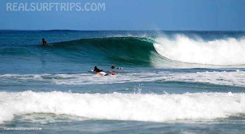 Surfing in Paradise