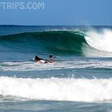 Surfing in Paradise