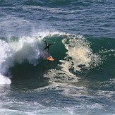 coogee point 