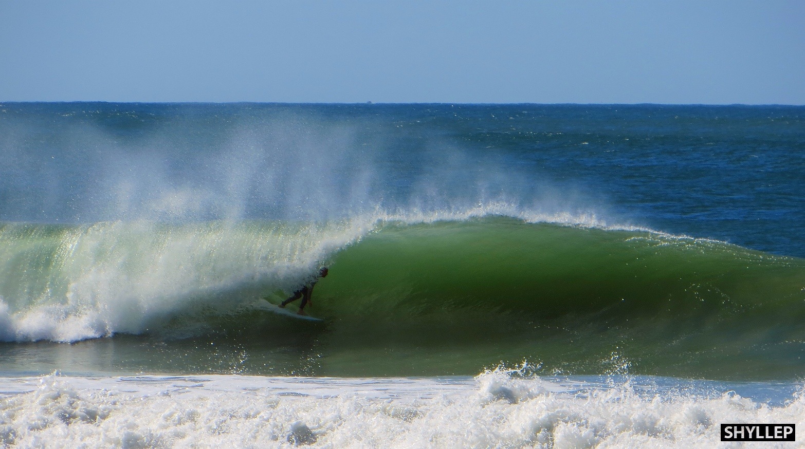 shyllep.com, Matadeiro