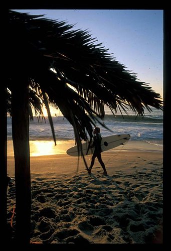 Windansea Surf Forecast And Surf Reports Cal San Diego County Usa