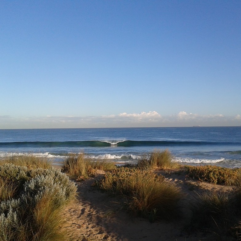 bp 'morning glory', Bunbury BP Reef