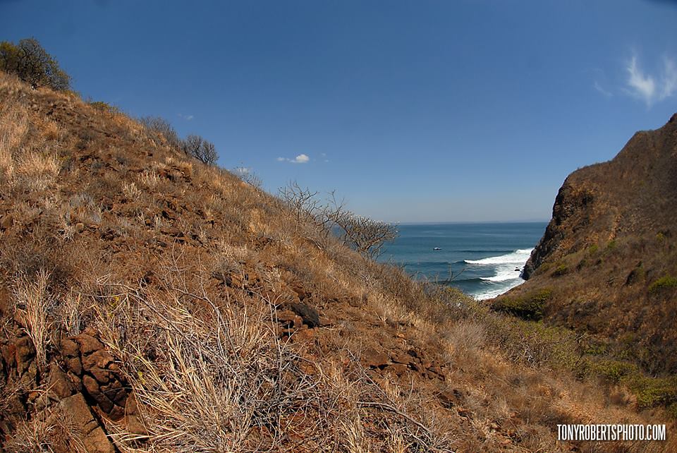 Searching for New Waves