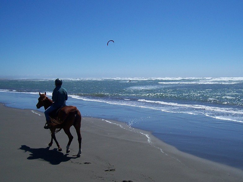 Clam Beach Kite Surfing by Horseback, Little River Clam Beach