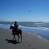 Clam Beach Kite Surfing by Horseback, Little River Clam Beach