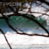 Real Surf Trips 