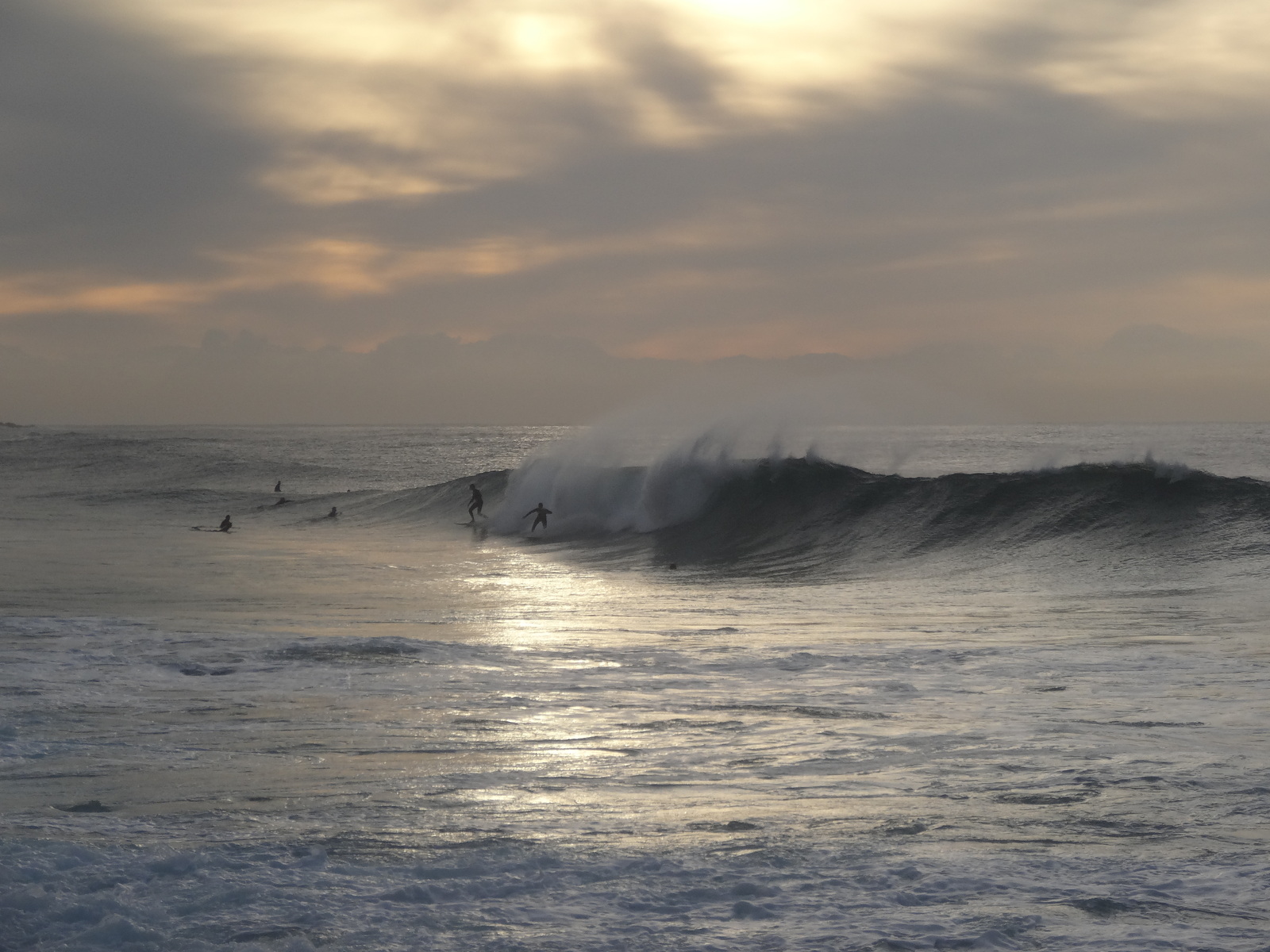 Morning Surf in Bronte, Bronte Beach