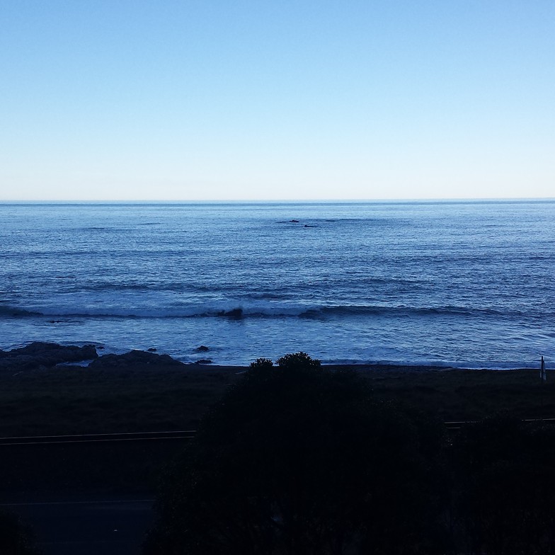 Waipapa Bay surf break