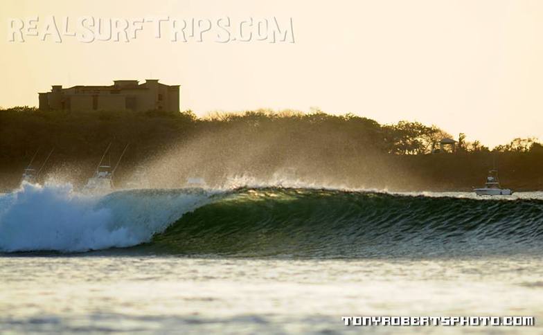 A Real Surf Vacation