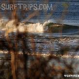 Real Surf Trips