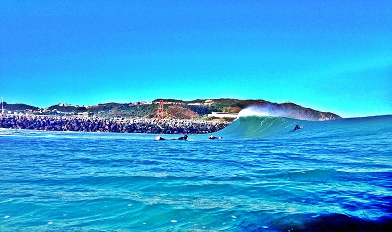 Real surf discount lyall bay