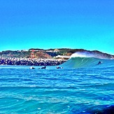 Lyall Bay