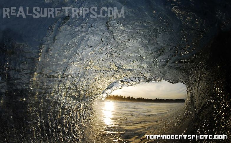 Real Surf Trips