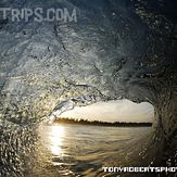 Real Surf Trips