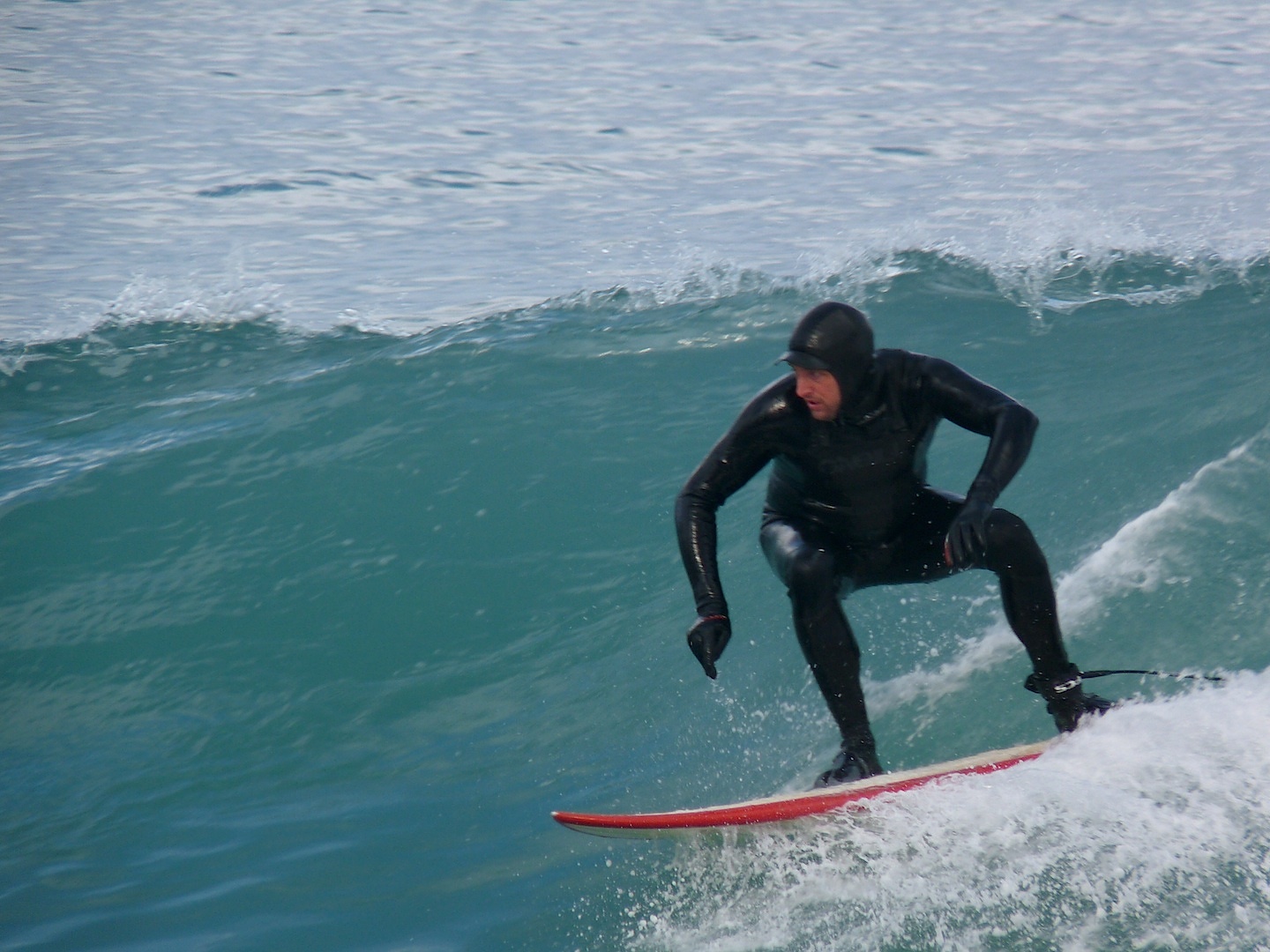 Could be anywhere, Kahutara