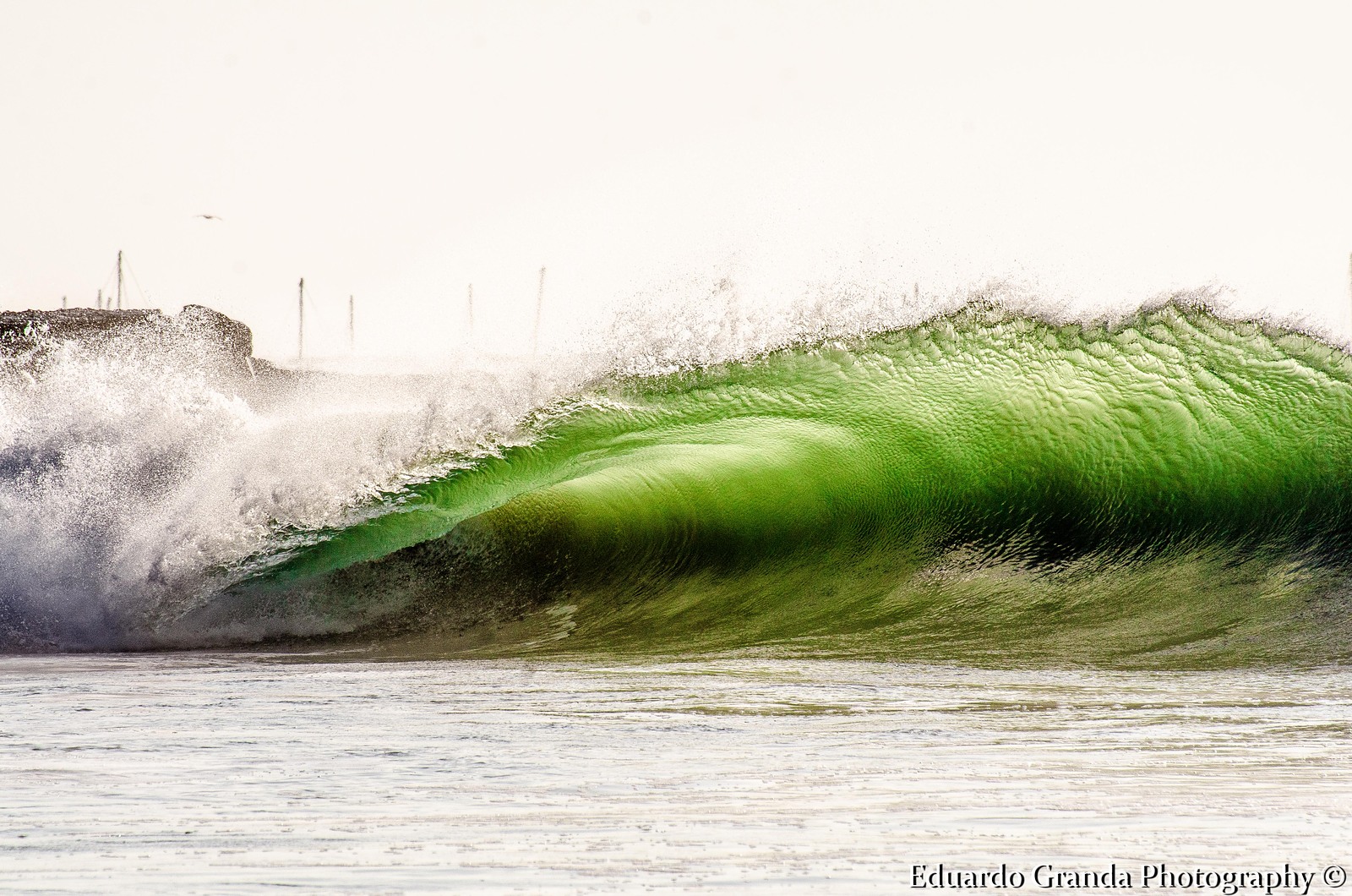surf en lobitos peru