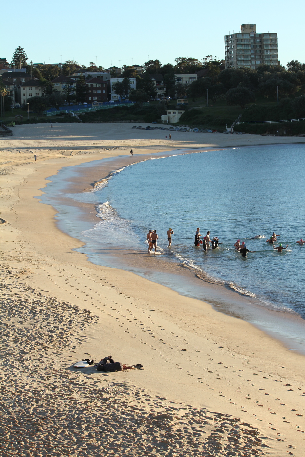 morning dip, Coogee