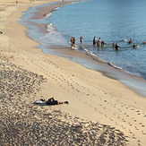 morning dip, Coogee