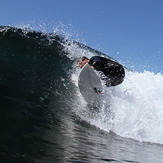 the stall, Coogee