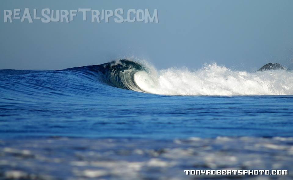 Real Surf Trips