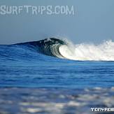 Real Surf Trips