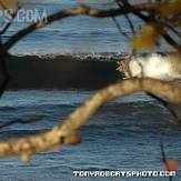 Surfing Costa Rica