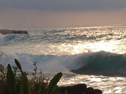 Honokohau Harbour photo