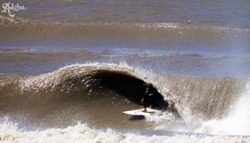 Novo Quintao photo