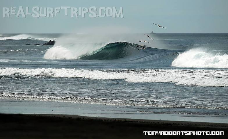 Surfing Costa Rica