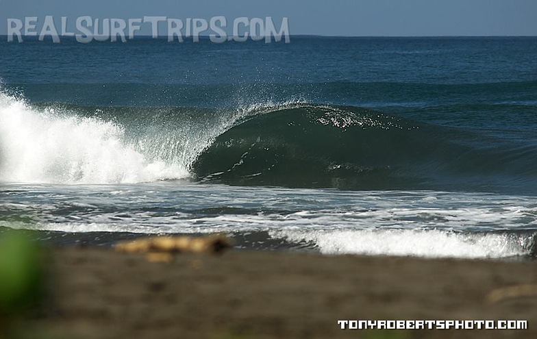 A Real Surf Vacation