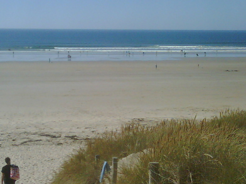 Low Tide Goodies, Plouharnel La Guerite Tata Beach