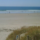 Low Tide Goodies, Plouharnel La Guerite Tata Beach