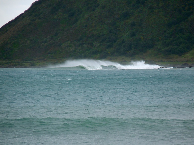 From the Wall, Lyall Bay-Bombora