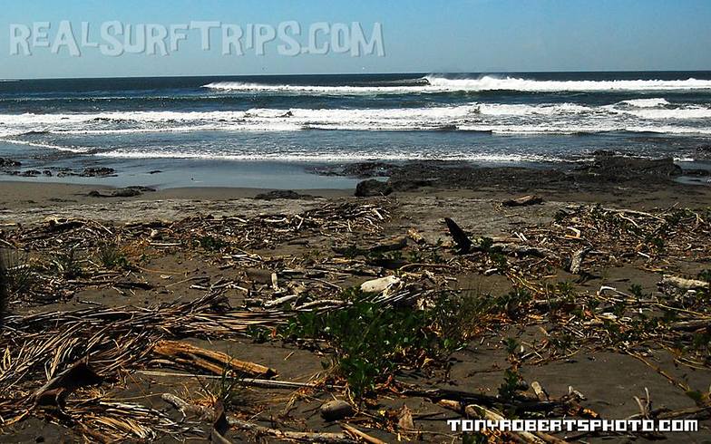 A Real Surf Vacation