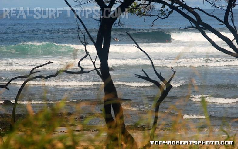 Surfing Costa Rica