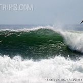 Real Surf Trips