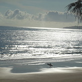 Sunny morning at Rainbow beach, Rainbow Bay