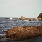 Broken boards no more, Mallacoota