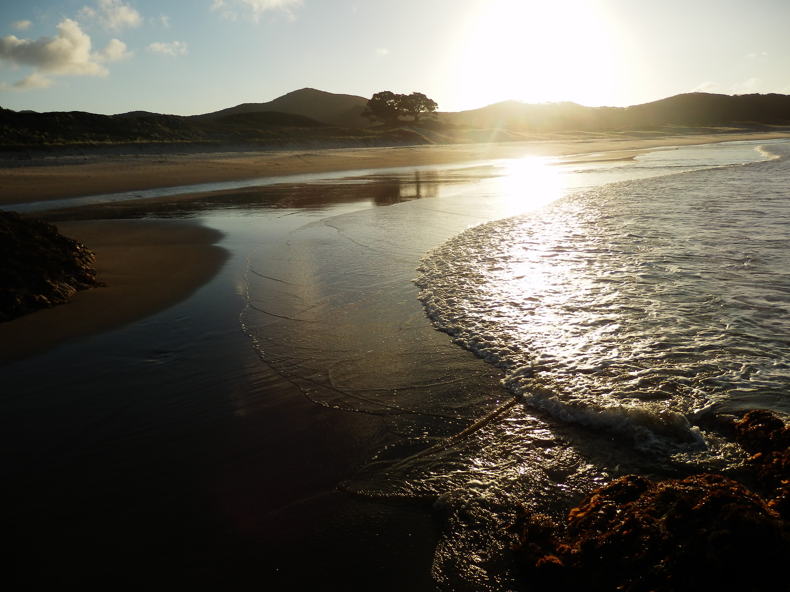 Medlands Beach- Great Barrier Island