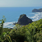 A good Day at Piha, Piha-The Bar