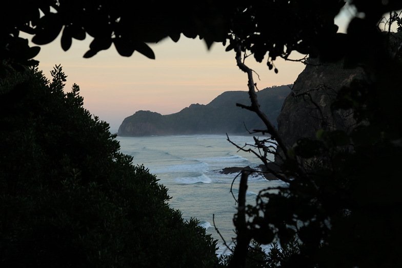 Piha from bush, Piha-The Ditch