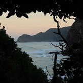 Piha from bush, Piha-The Ditch